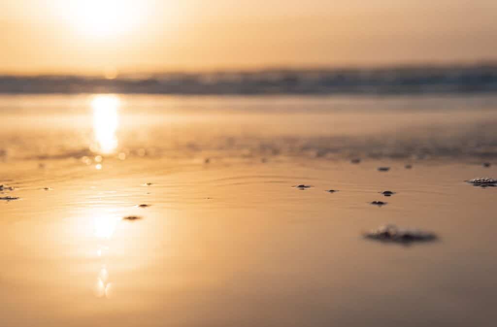 Ocean